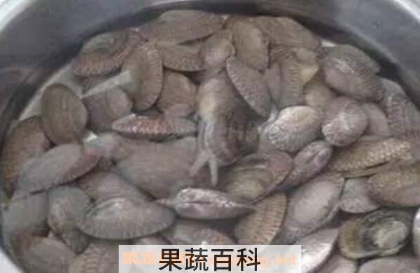 花甲沙子怎么洗干净 花甲怎么去沙