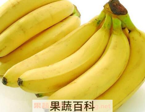 平时香蕉不能和什么一起吃