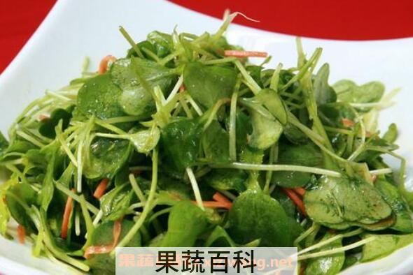  萝卜叶子怎么做好吃