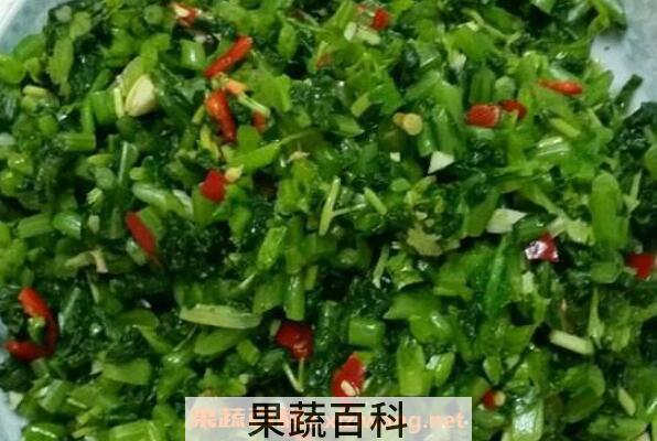  萝卜叶子怎么做好吃