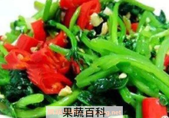 红薯叶怎么吃 红薯叶的做法大全