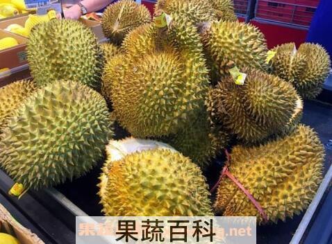 水果榴莲不能和什么一起吃