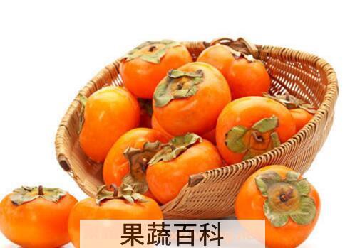 柿子不能和什么一起吃 吃柿子的禁忌