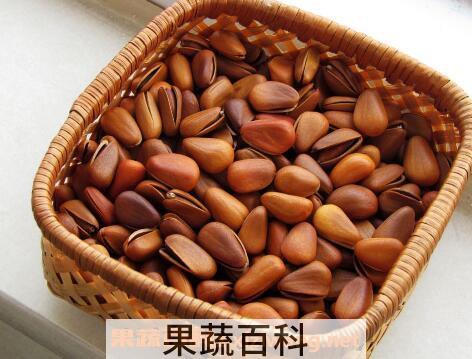 松子的功效与作用有哪些