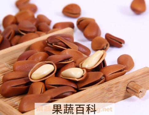 松子的功效与作用有哪些
