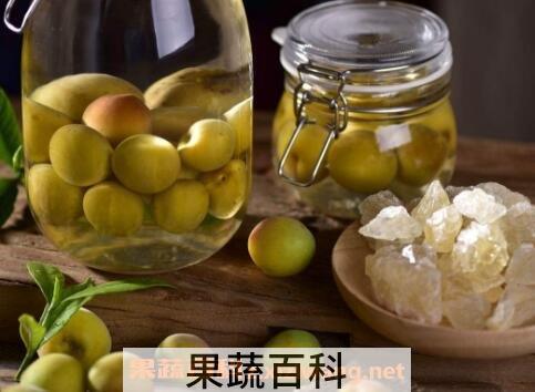 梅子酒的做法与功效