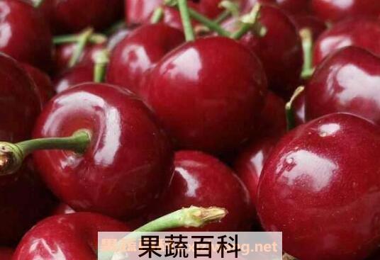 车厘子的功效与作用及禁忌