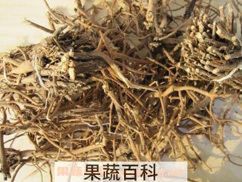冰糖雪梨的功效与作用及常见做法
