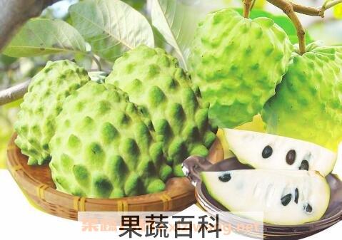 释迦怎么吃 释迦的吃法技巧
