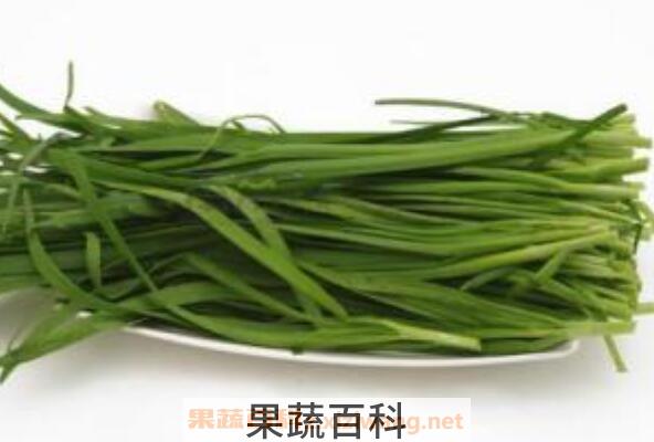  孕妇能吃韭菜吗 孕妇吃韭菜的好处和坏处