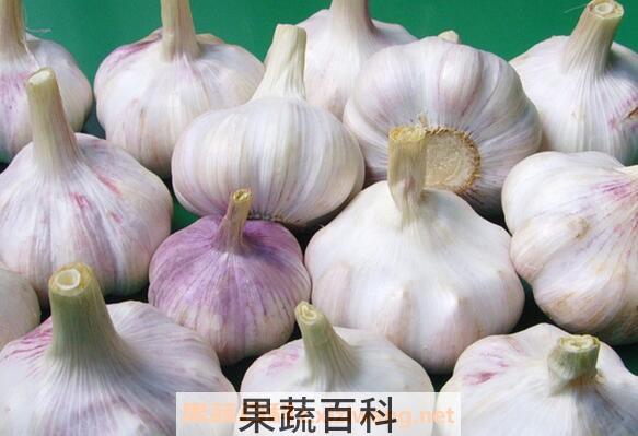 生大蒜头怎么吃 生大蒜头的吃法技巧教程