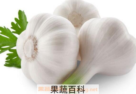 生大蒜头怎么吃 生大蒜头的吃法技巧教程