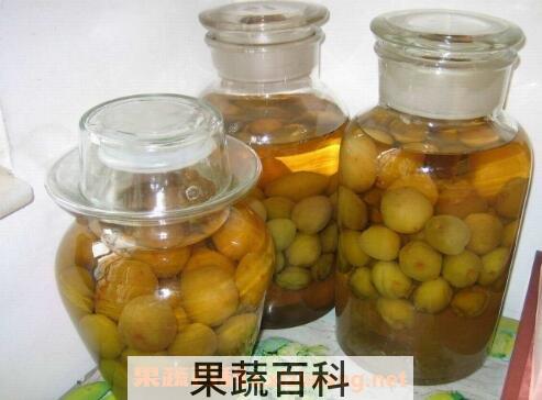 青梅酒的梅子能吃吗 自制青梅酒的危害