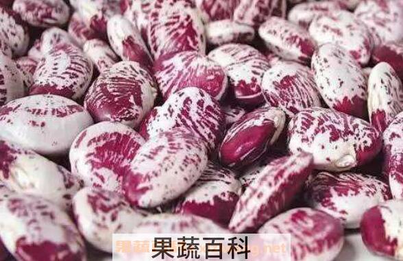 荷包豆的功效与作用及食用方法