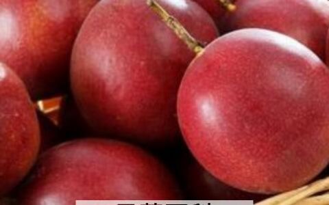 百香果常见的功效与作用图片 百香果常见的功效与作用是什么