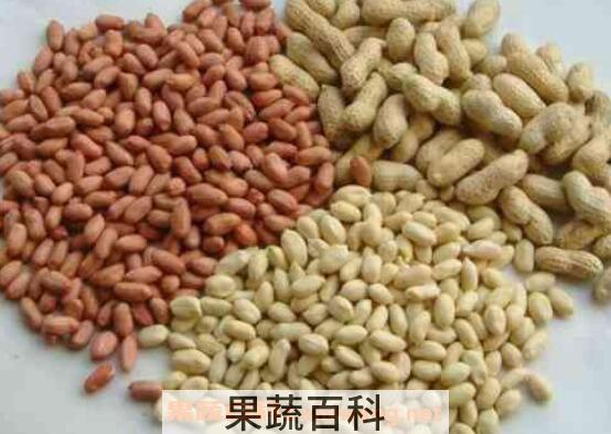 吃生花生有什么好处 吃生花生的好处与功效