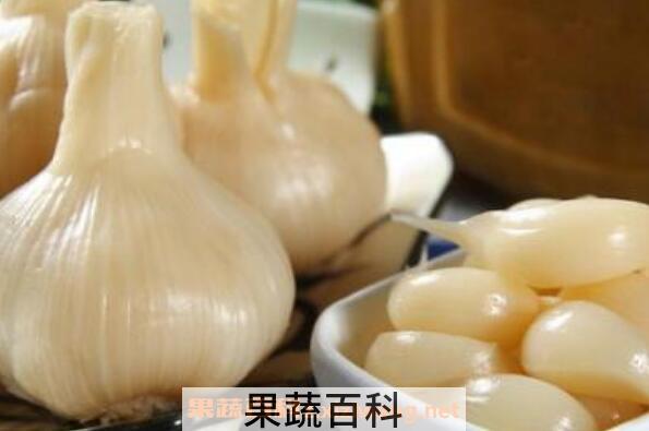 鲜蒜头怎么吃最好