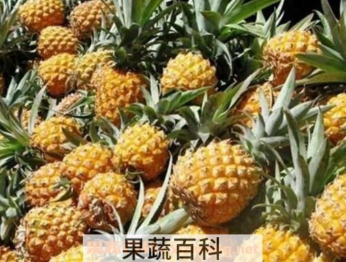 吃菠萝的好处有哪些 吃菠萝的坏处