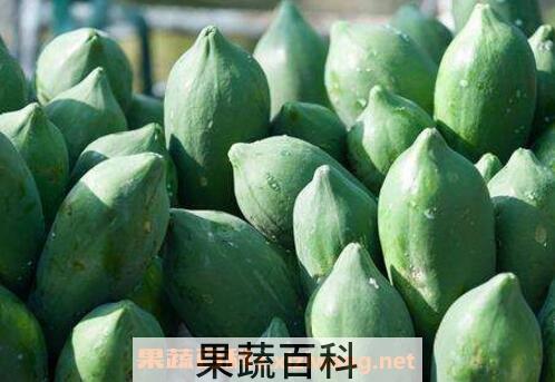 青木瓜怎么吃 青木瓜的吃法技巧