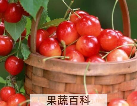 男人吃什么水果补血