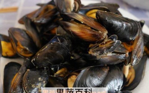 海虹怎么吃好 海虹怎么吃的做法大全