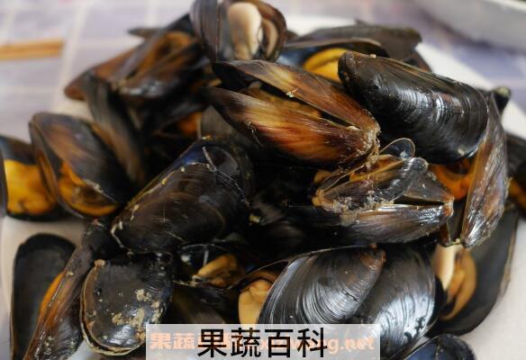  海虹怎么吃 海虹的家常做法