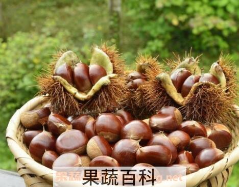 吃板栗有什么好处 吃板栗的功效与作用