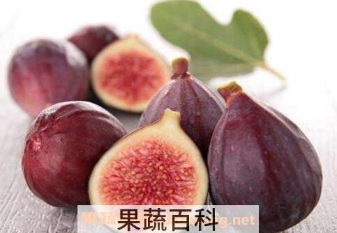鲜无花果的功效与禁忌