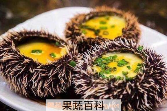 海胆怎么处理 海胆怎么打开