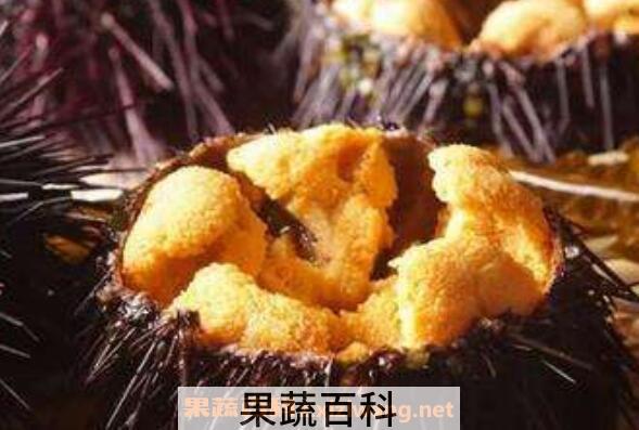 海胆可以生吃吗 海胆生吃怎么吃图解