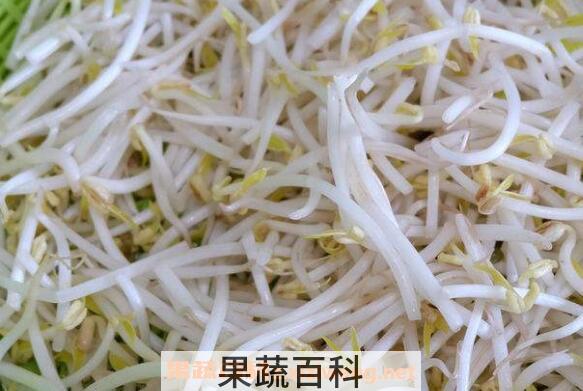 绿豆芽的营养价值及功效作用