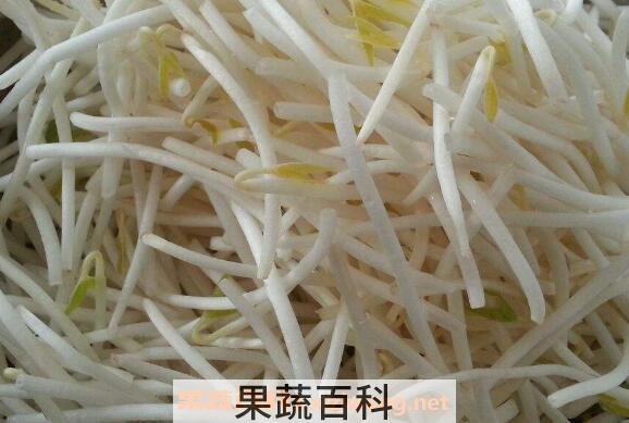绿豆芽的营养价值及功效作用