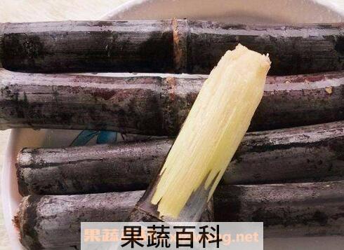 甘蔗有哪些作用与功效