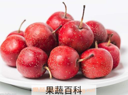 山楂有哪些功效与作用