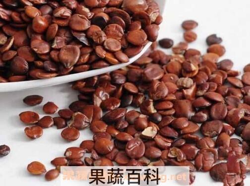 酸枣仁的功效与作用及药用价值