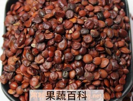 酸枣仁的功效与作用及药用价值