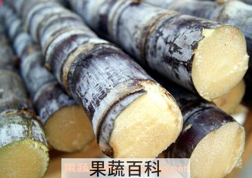 什么水果补血效果最好 补血的水果之王