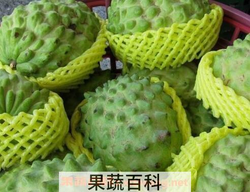 释迦果的功效有哪些 释迦果的食用禁忌