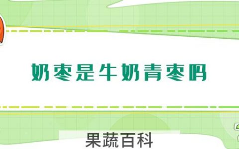 奶枣是牛奶青枣吗
