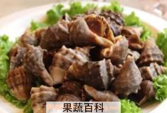大海螺怎么吃 大海螺的食用方法