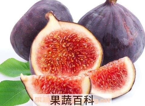 无花果的功效与禁忌