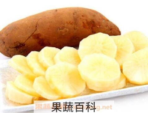 雪莲果有哪些功效与作用