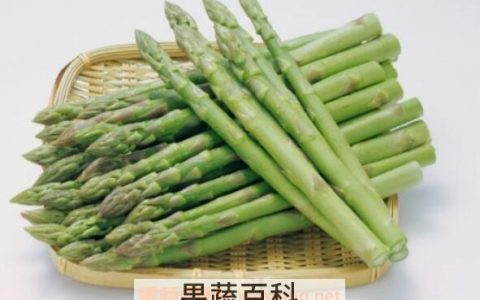 增加强免疫力的食物 增强免疫力的最佳食物