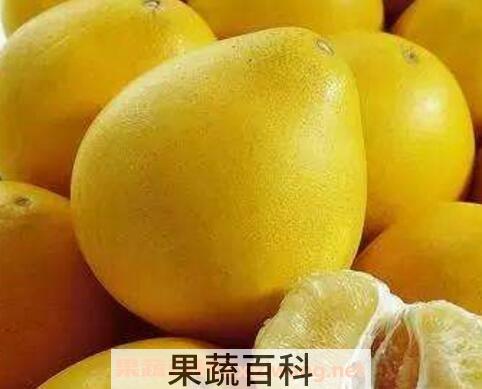 吃柚子有什么好处 吃柚子的功效与作用