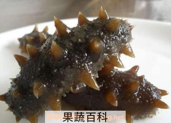 海参怎么吃 海参的食用方法