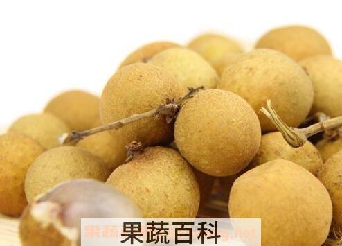 桂圆有哪些功效与作用