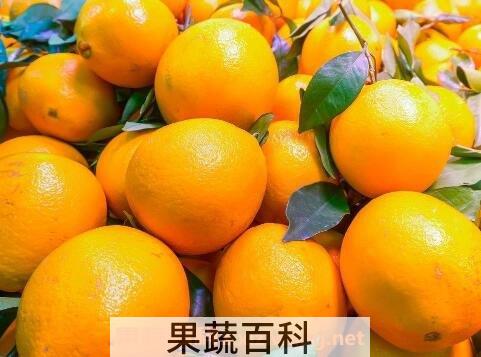橙子有哪些功效与作用