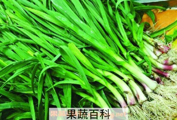 干蒜苗能吃吗 干蒜苗的功效与作用