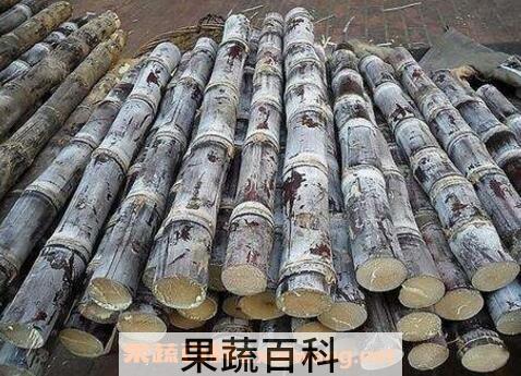 黑皮甘蔗的功效与作用