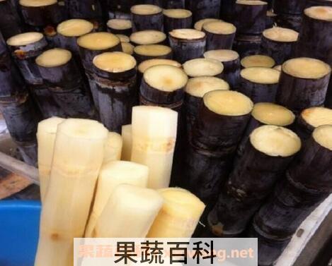 黑皮甘蔗的功效与作用